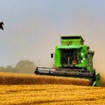 Τραγωδία στην Ξάνθη