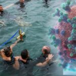 Θεοφάνια στη σκιά της «Όμικρον»