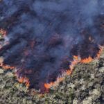 Κύματα τσουνάμι στον Ειρηνικό έπειτα από ηφαιστειακή έκρηξη στην Τόνγκα