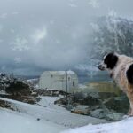 Χιόνια και πολικό ψύχος