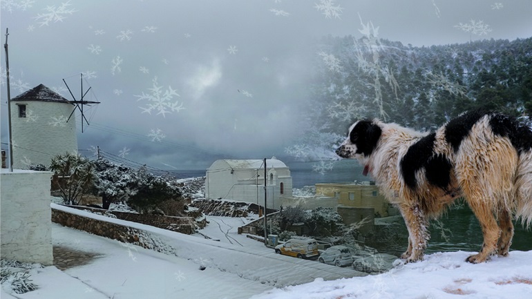 Χιόνια και πολικό ψύχος