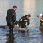 Επιχείρηση διάσωσης φάλαινας στον Άλιμο