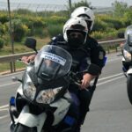 Φρίκη στην Ηλεία – Δηλητηρίασαν 15 σκυλιά