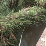 Νεκρό σε κανάλι βρέθηκε το 2χρονο κοριτσάκι που είχε εξαφανιστεί στον Πύργο