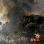 Υπό μερικό έλεγχο η πυρκαγιά στη Σάμο – Επιχειρούν επίγειες και εναέριες δυνάμεις