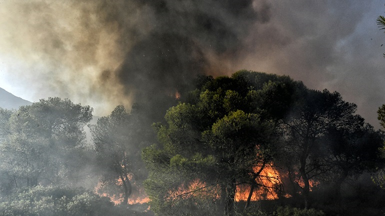 Υπό μερικό έλεγχο η πυρκαγιά στη Σάμο – Επιχειρούν επίγειες και εναέριες δυνάμεις