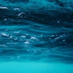 Χανιά: Χωρίς τις αισθήσεις του ανασύρθηκε από τη θάλασσα 12χρονος – Νοσηλεύεται σε σοβαρή κατάσταση