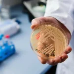 Νοσοκομείο Ρίου: Ο μύκητας candida και οι υγειονομικές προεκτάσεις