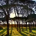 Εγκρίθηκε με αρχική χρηματοδότηση 16,5 εκ. ευρώ για το παράλιο μέτωπο Αχαΐας και Ηλείας