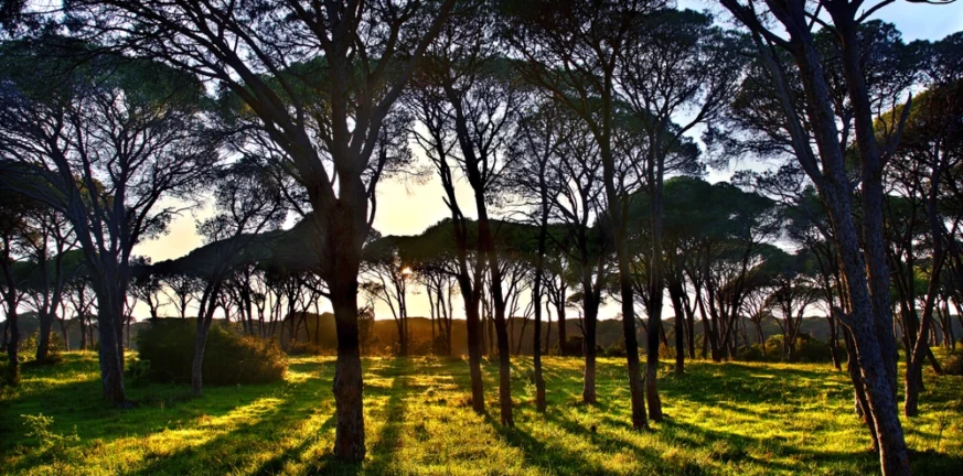 Εγκρίθηκε με αρχική χρηματοδότηση 16,5 εκ. ευρώ για το παράλιο μέτωπο Αχαΐας και Ηλείας